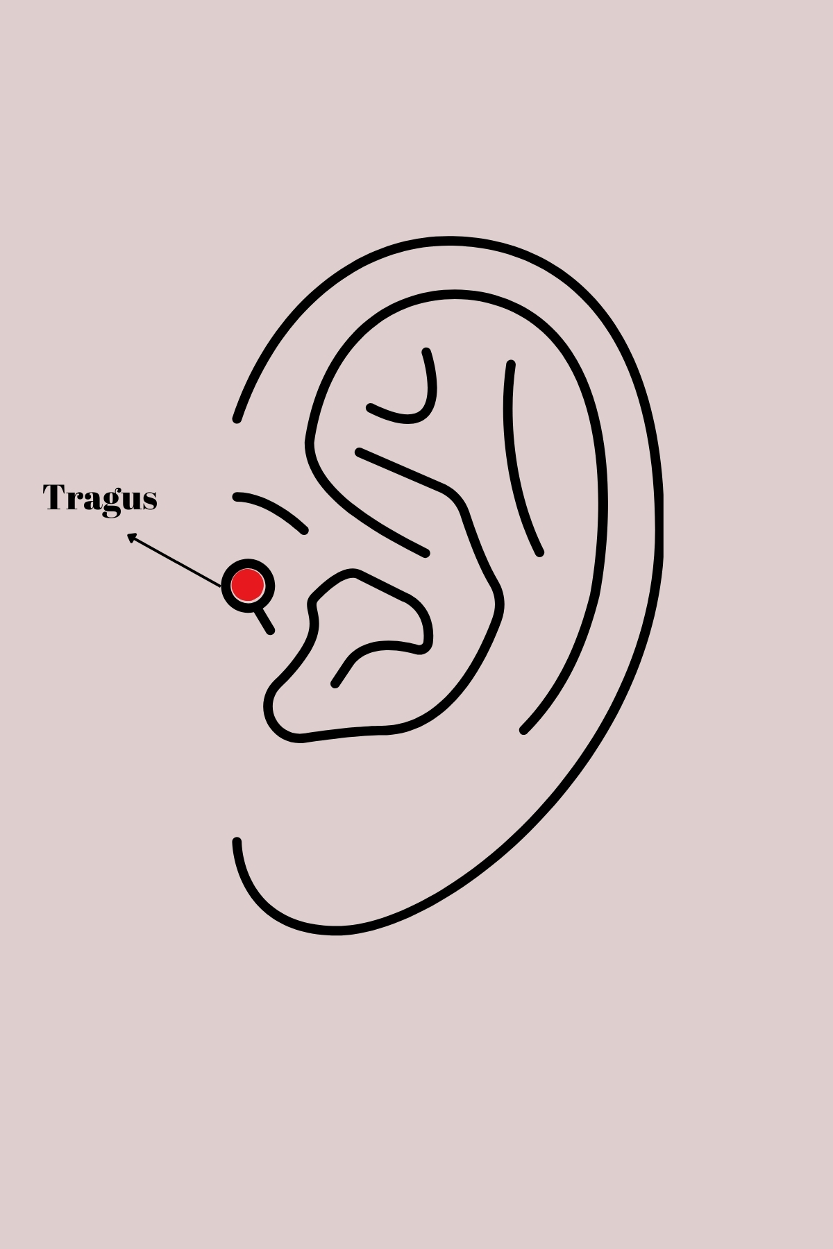 Tegan 316L Çelik Gümüş Renk Zirkon Taşlı Güneş Tragus Piercing TG27PR1279