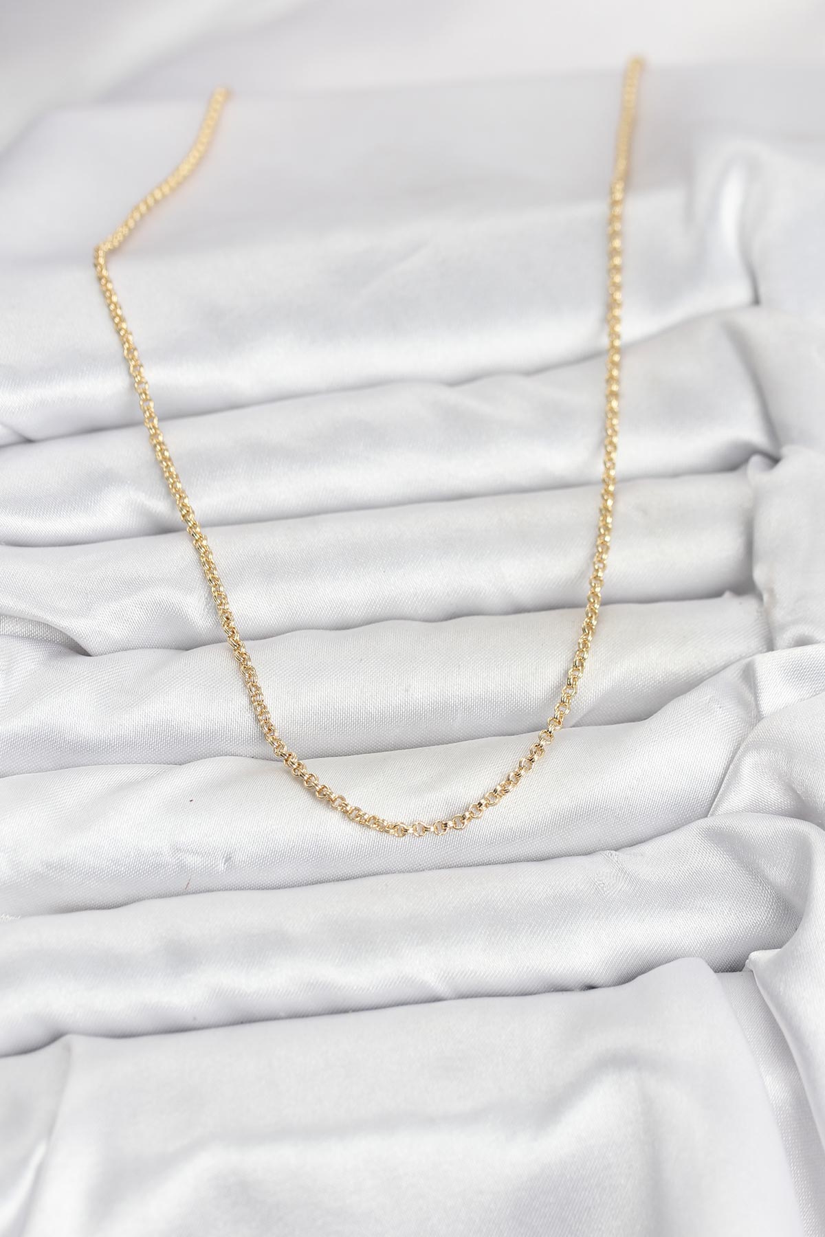 Tegan CM 14K Gold Renk Halka Model 60 cm Kadın Kolye TG27BKO10930