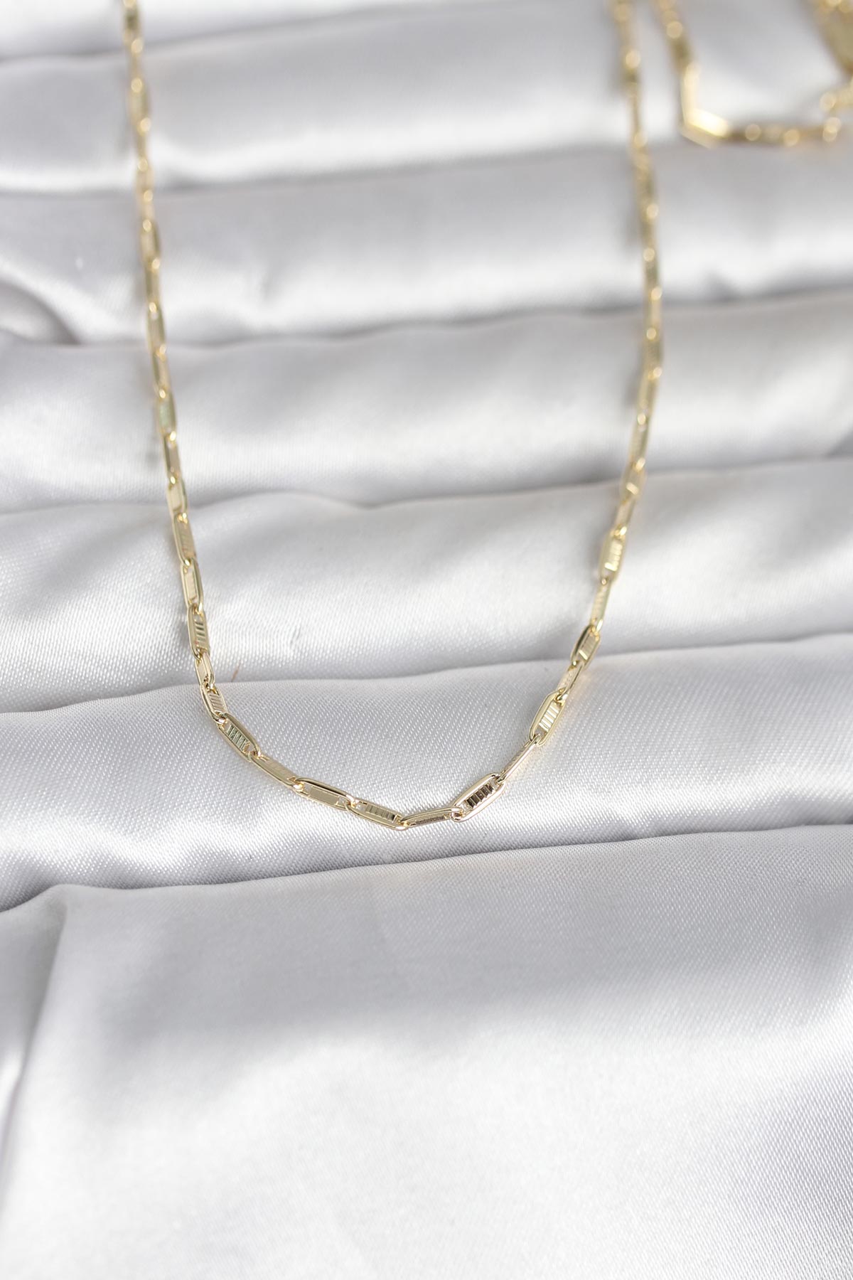 Tegan CM 14K Gold Renk İnce Ataç Zincir Model 60 cm Kadın Kolye TG27BKO10983