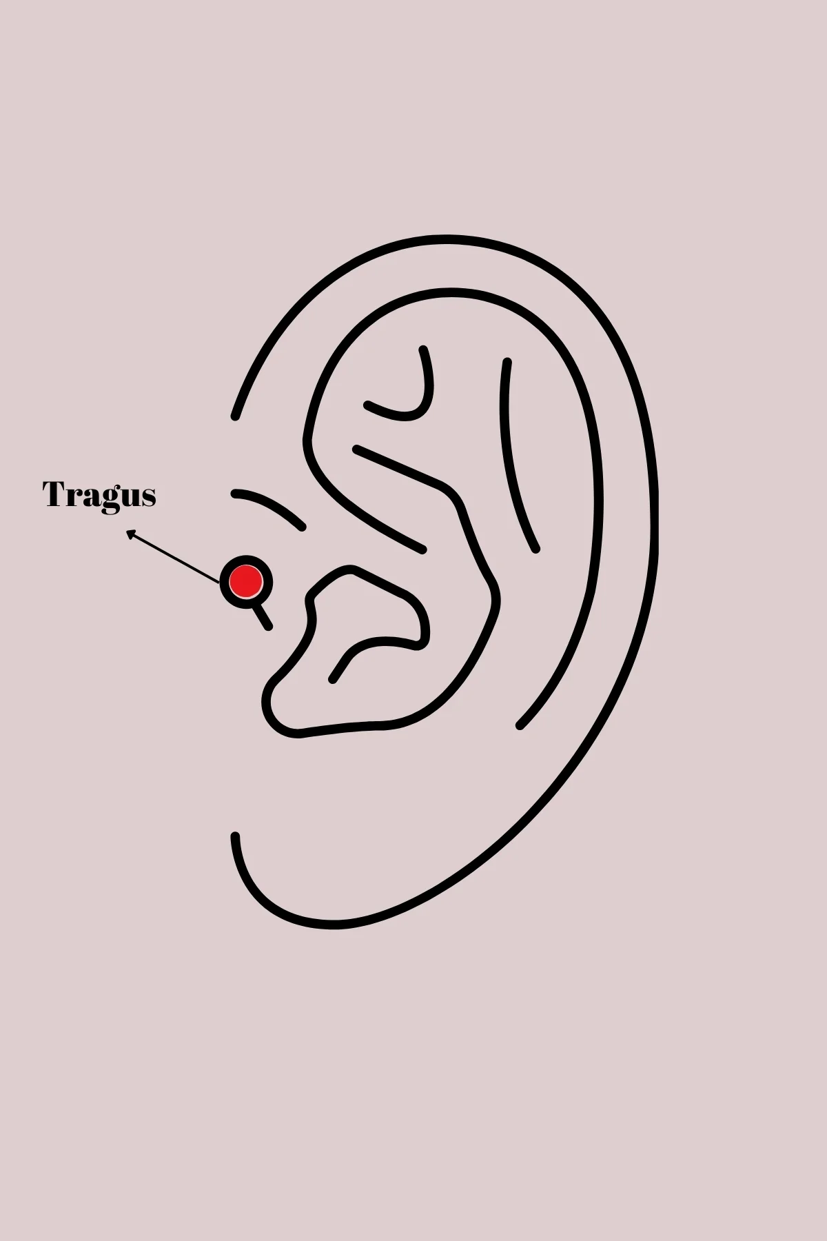 Tegan 316L Çelik Gümüş Renk Zirkon Taşlı Çiçek Model Tragus Piercing TG27PR1283