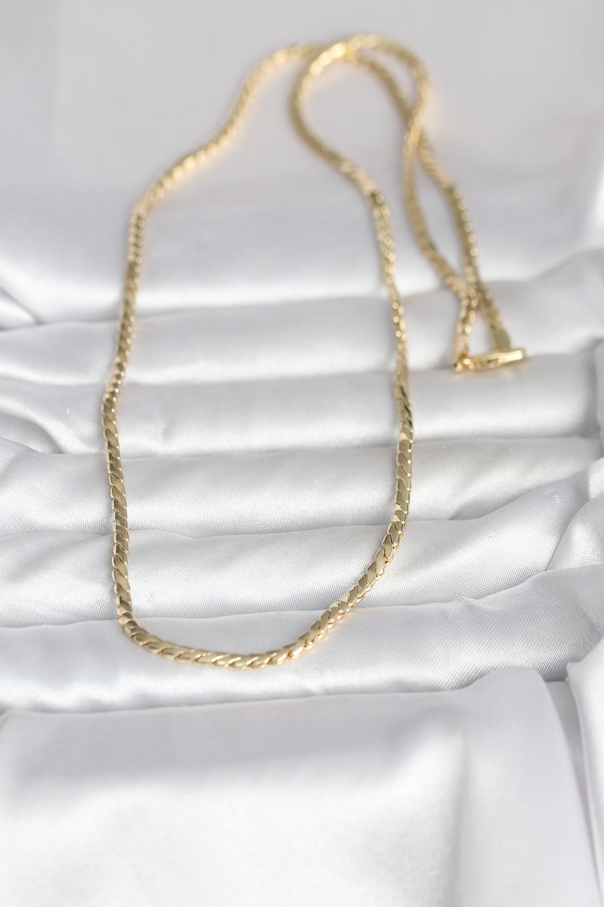 Tegan CM 14K Gold Renk Yassı Model 60 cm Kadın Kolye TG27BKO10994